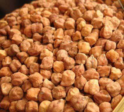 Chana
